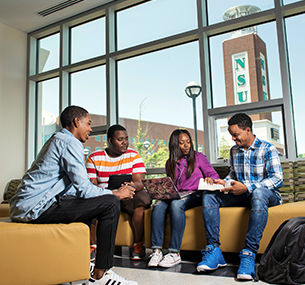 Norfolk state university admission essay