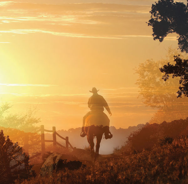 cowboy sunset