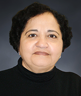 Vina Punjabi