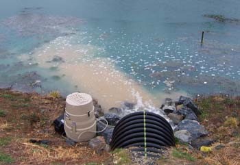 Polluted water discharged into a creek.