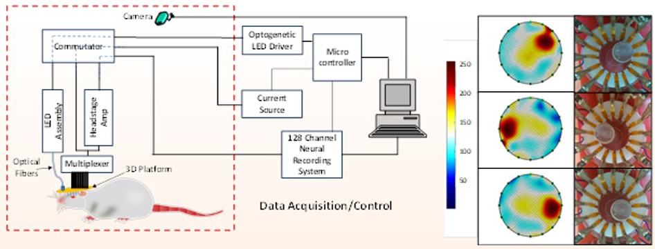 Functional Brain Imaging