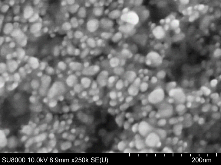 SEM Image of Gold Nanoparticles