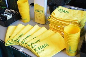 NSU cups, bags, pamplets, and more