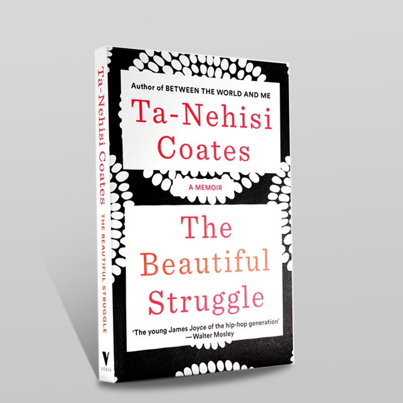 The beautify struggle - book cover art