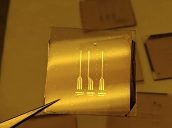 Neural Electrodes