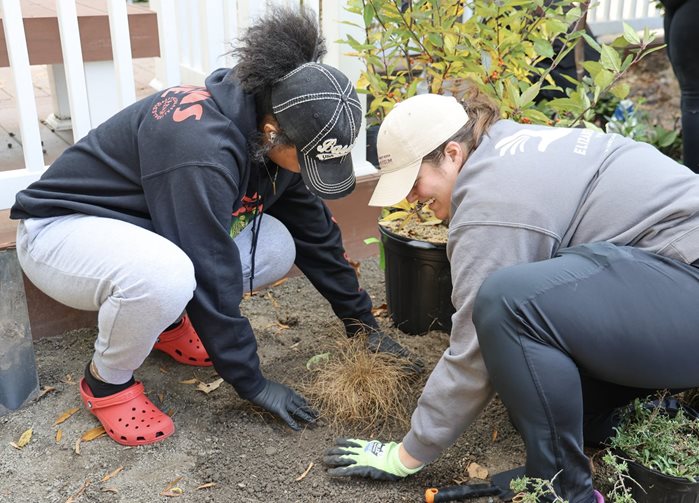student planting new shrubs on NSU campus