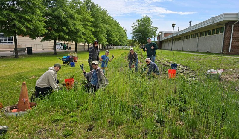 landscape improvement project