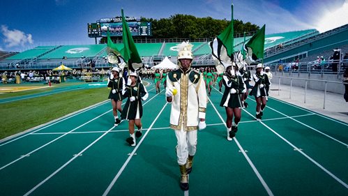 nsu marching band in william price stadium
