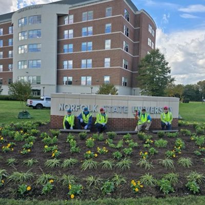 landscape improvement project
